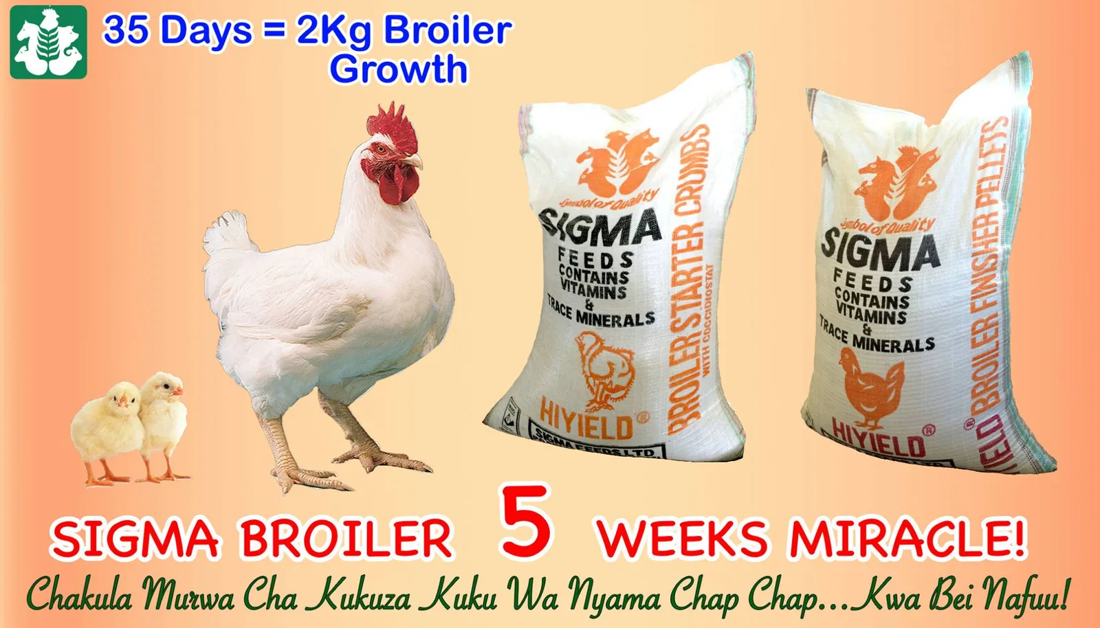 Image from YHK’s supplied farming collection